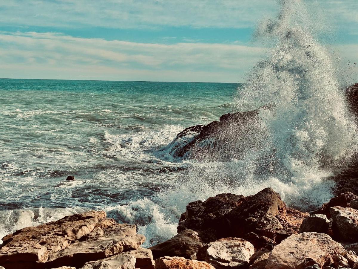 Oropesa Del Mar, Playa Morro De Gos, Playa Blanca Lejlighed Eksteriør billede
